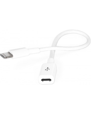 Single product image