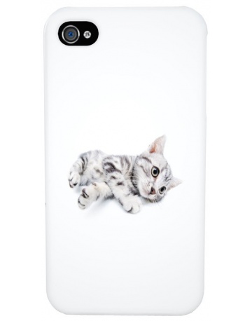 Single product image