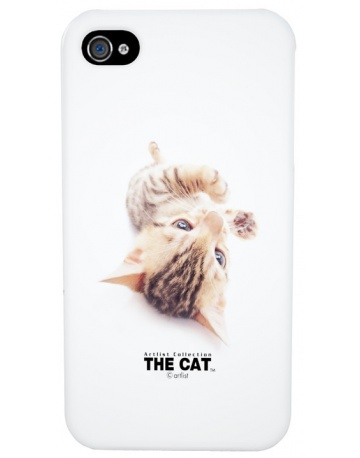 Single product image