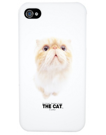 Single product image