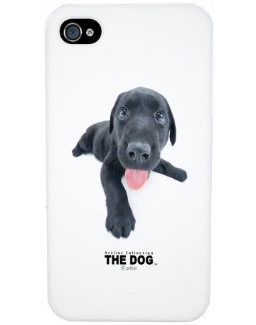 Single product image