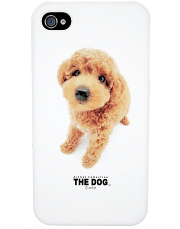 Single product image