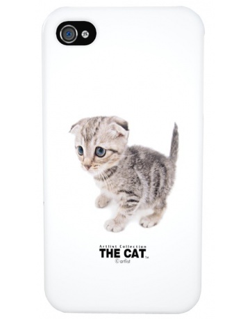 Single product image