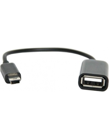 Single product image