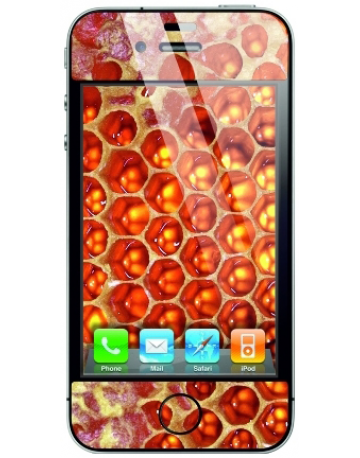 Single product image