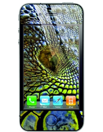 Single product image
