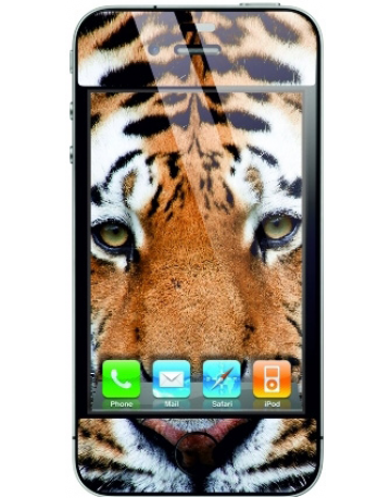 Single product image