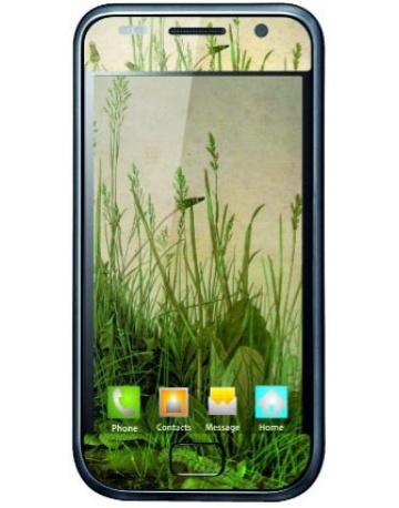 Single product image
