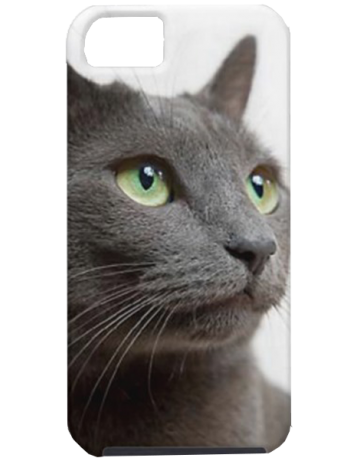 Single product image