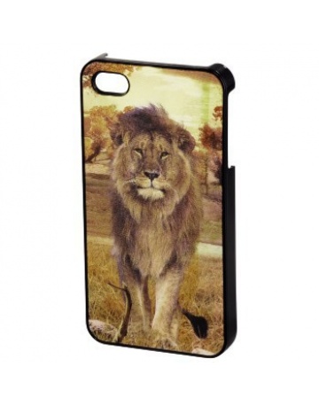 Single product image