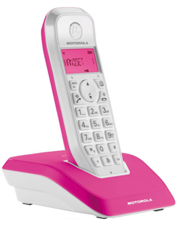 Single product image
