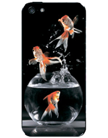 Single product image