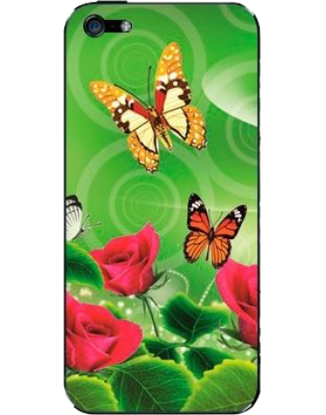Single product image