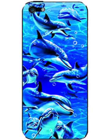 Single product image