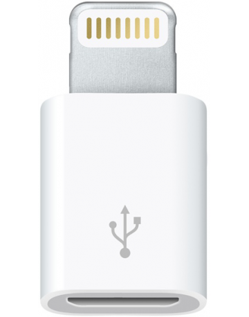 Single product image