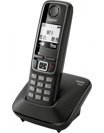 Single product image