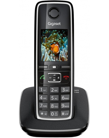 Single product image