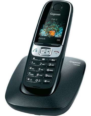 Single product image