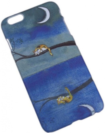 Single product image
