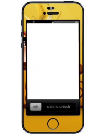 Single product image