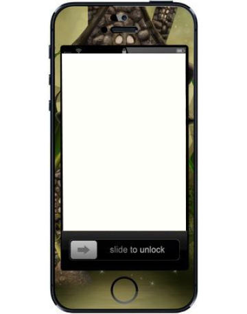 Single product image