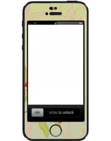 Single product image