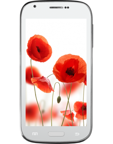 Single product image